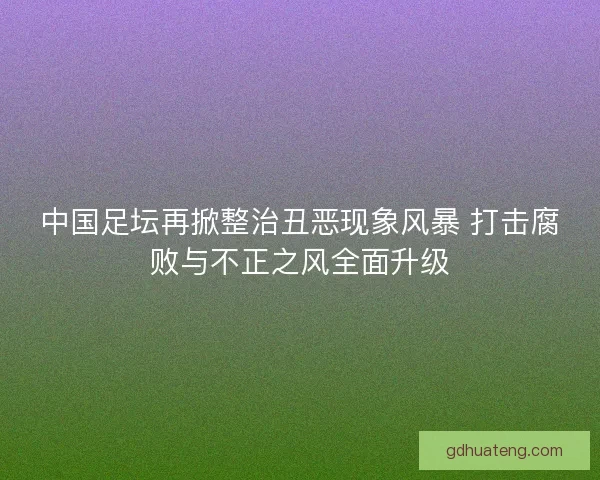 中国足坛再掀整治丑恶现象风暴 打击腐败与不正之风全面升级