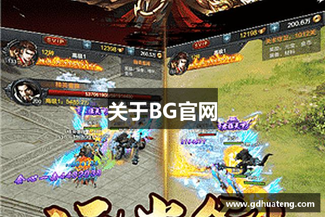 关于BG官网